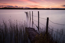 Kenfig Pool posts von Leighton Collins