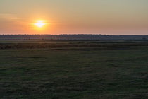 Sonnenaufgang über den Salzwiesen von Thomas Ulbricht