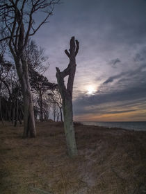 Dämmerung am Weststrand by Thomas Ulbricht