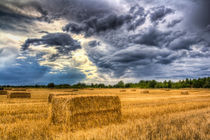 Late Summer on the farm von David Pyatt