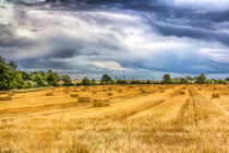 The Farm Vista von David Pyatt