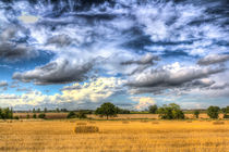 The farm in the summertime  by David Pyatt