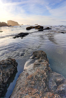 Beachlife Bandon By The Sea by timbo210