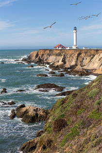 Point Arena Lighthouse #2 von timbo210