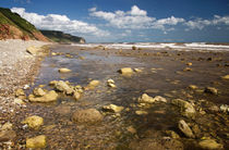  Between Weston Mouth and Branscombe von Pete Hemington