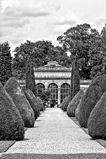 Path to the Orangery von Vicki Field