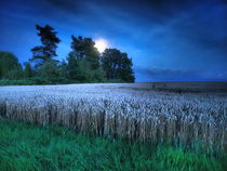 Grain und Supermoon by smk