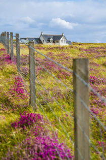 Living in nature von tfotodesign