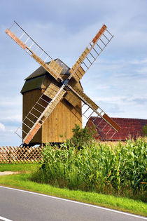 Windmühle, Mühle, Deutschland, Windmill, mill, Germany von Falko Follert