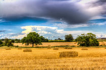 The Summer Farm View by David Pyatt