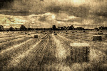 The Farm Vintage Image by David Pyatt