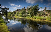 Neath Abbey ruins von Leighton Collins