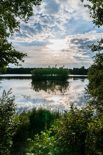 Hamburger Natur Hummelsee Müllberg III von elbvue von elbvue