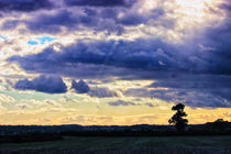 Breaking Through von Vicki Field