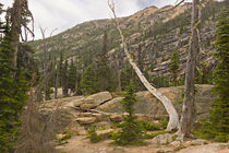 Cascades Hillside by Peter J. Sucy