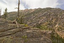 Granite Folds by Peter J. Sucy