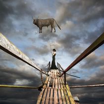 Catch The Bull von Dariusz Klimczak