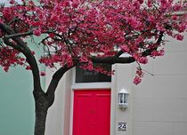 Frühling in Notting Hill by loewenherz-artwork