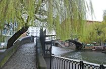 Herbst in Camden von loewenherz-artwork