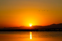 Flamingos flying into the sunset - Costa Blanca - Spain von Jörg Sobottka