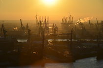 Sonnenuntergang über den Hamburger Hafen von Ariane Gramelspacher