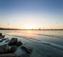 frozen hamburg alster von Simon Andreas Peter