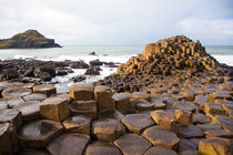 Giant's Causeway, Northern Ireland by Tasha Komery