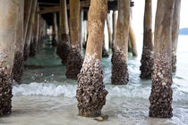 Under the dock, Koh Rong, Cambodia by Tasha Komery