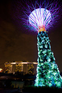 The Supertree, Gardens by the Bay, Singapore von Tasha Komery