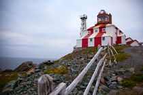 Lighthouse, Newfoundland, Canada by Tasha Komery