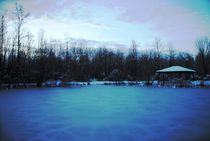 Frozen Pond, 2014 by Caitlin McGee