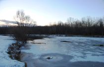 Frozen Pond 2, 2014 by Caitlin McGee