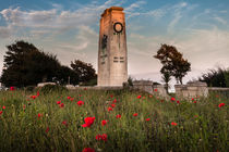 Swansea cenotaph by Leighton Collins