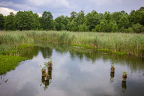 Lake River von Patrycja Polechonska