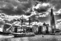 The Stavros N Niarchos London by David Pyatt