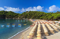 fetovaia beach - elba island by Antonio Scarpi