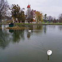 Schwäne vor Schloss Basedow von Sabine Radtke