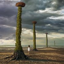 In search of the nest by Dariusz Klimczak