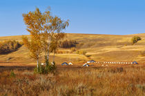 Autumn background von larisa-koshkina