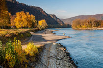 Bacharacher Strand 78 von Erhard Hess