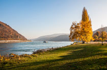 Bacharacher Strand 99 von Erhard Hess