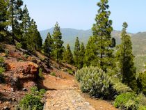 Wanderweg am Roque Nublo von gscheffbuch