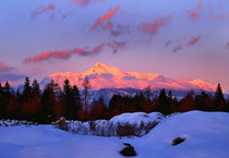 View of the mountains von Tomas Gregor