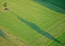 lange Schatten von loewenherz-artwork