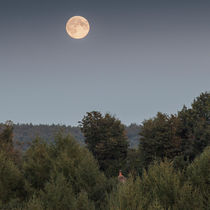 Full Moon by David Tinsley