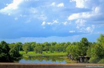 Louisiana Swamp, befor the Storm von Dan Richards