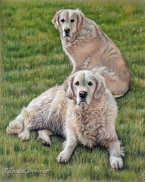 Golden Retriever von Nicole Zeug