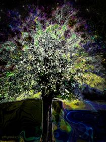 Oberon's Tree von mimulux