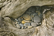 Driftwood Pebble Pocket by Peter J. Sucy