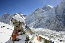 Mount Everest von Gerhard Albicker